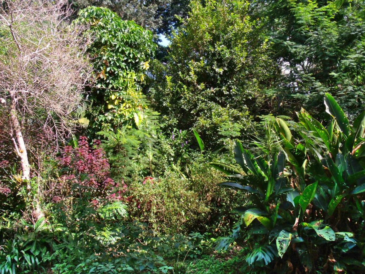 Hotel Curitiba Campo Comprido Екстер'єр фото