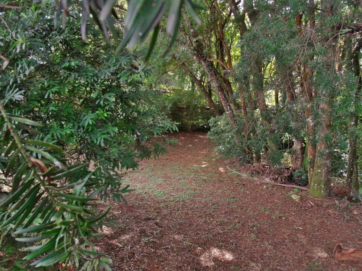 Hotel Curitiba Campo Comprido Екстер'єр фото